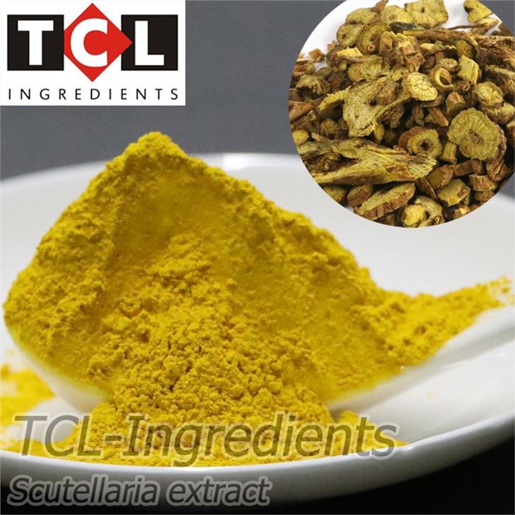 Scutellaria ekstraktas