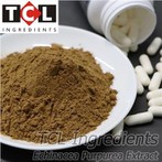 Ežiuolės purpurea ekstraktas