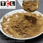 Ortozifono ekstraktas