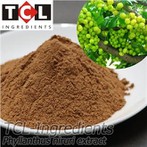 Phyllanthus Niruri ekstraktas