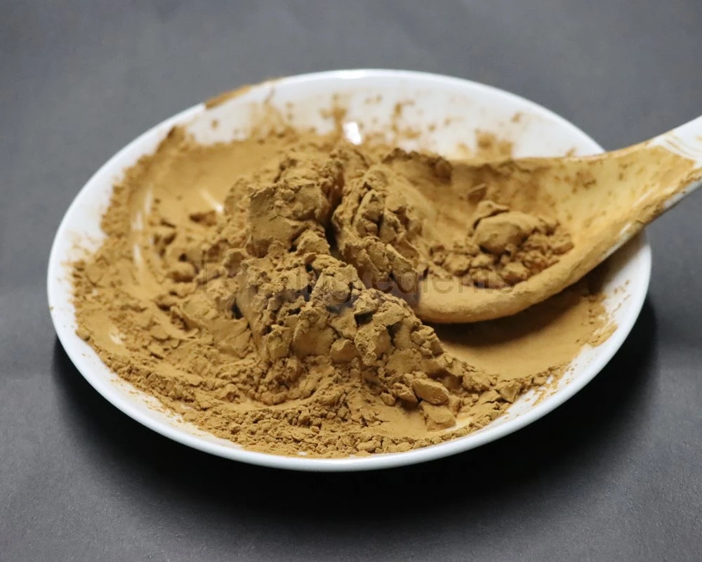 green tea extract super quality